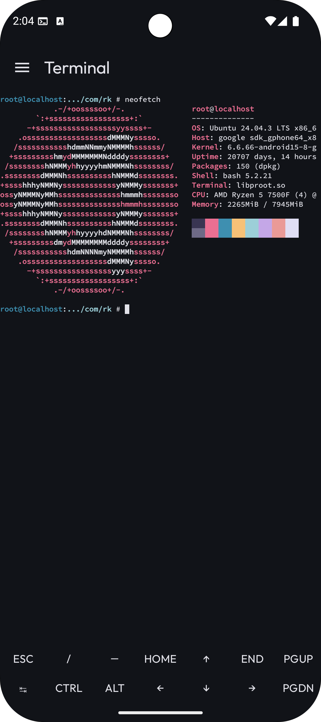 Ubuntu Terminal